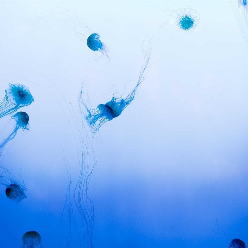 Detective James Hawthorne profile image