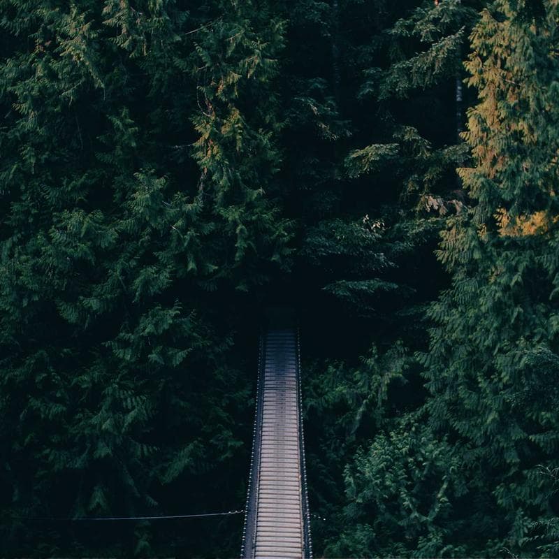 Shadows of the Fallen Crown featured image