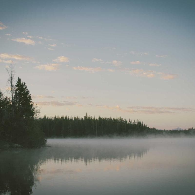 The Knight's Oath featured image