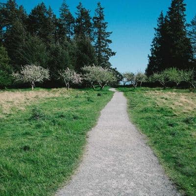 Victoria Blake profile photo